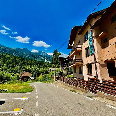 Pensiunea Roua Sinaia Buitenkant foto