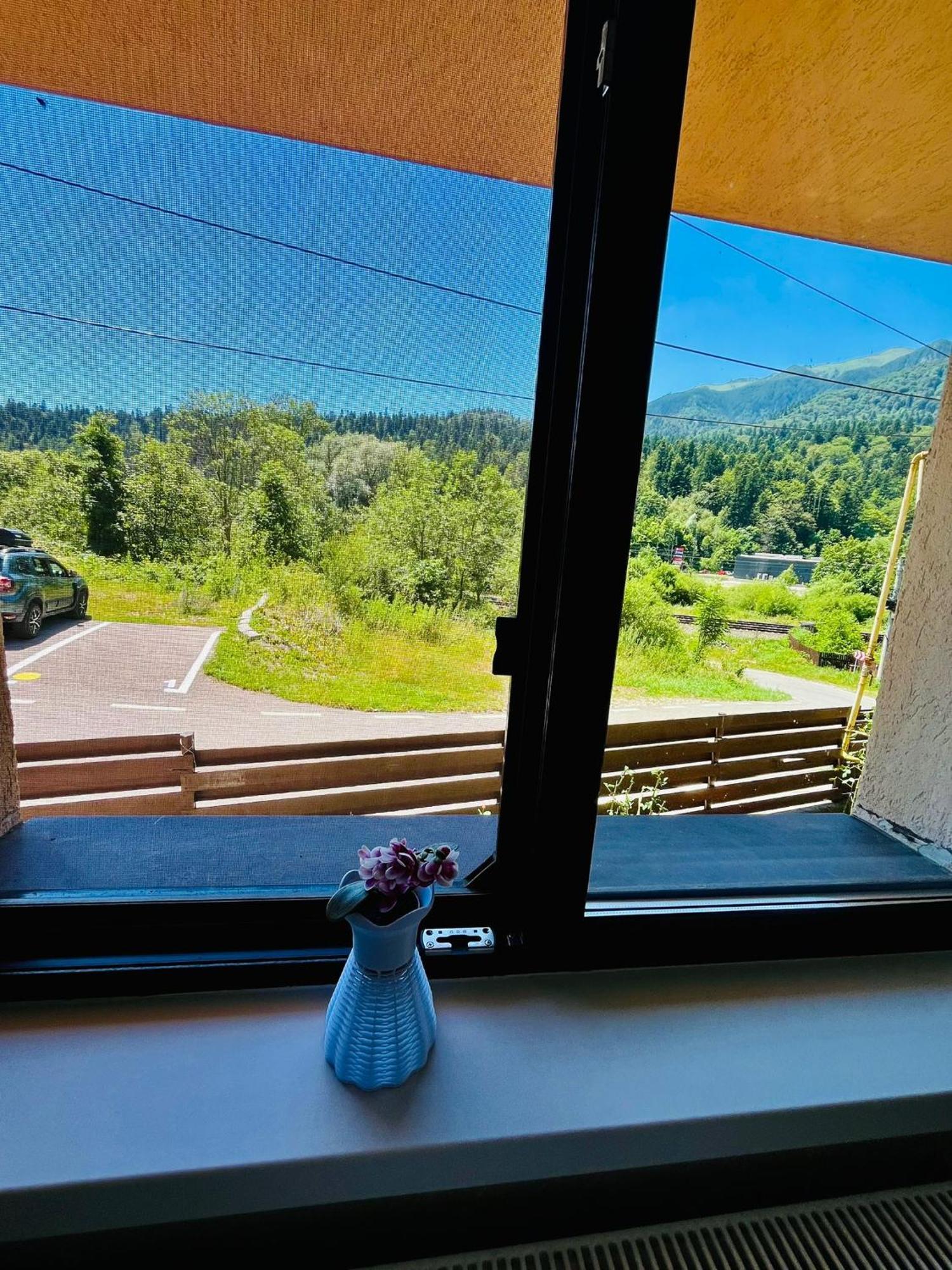 Pensiunea Roua Sinaia Buitenkant foto